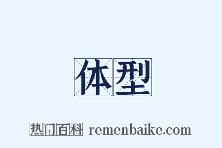 体型是什么意思的图片